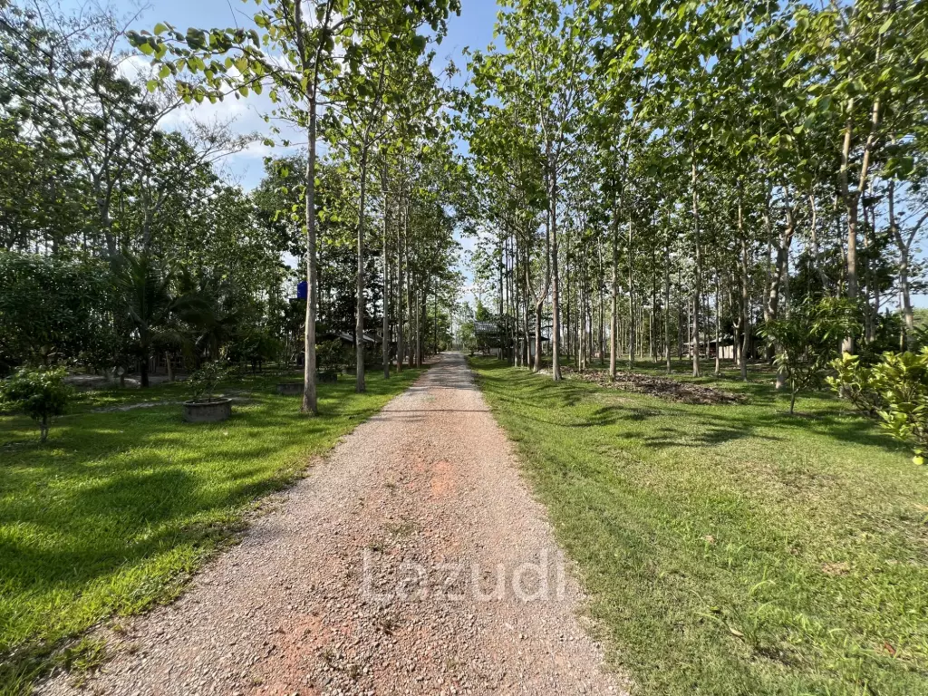 2 Bedrooms Cozy House For Sale in Stunning Garden.