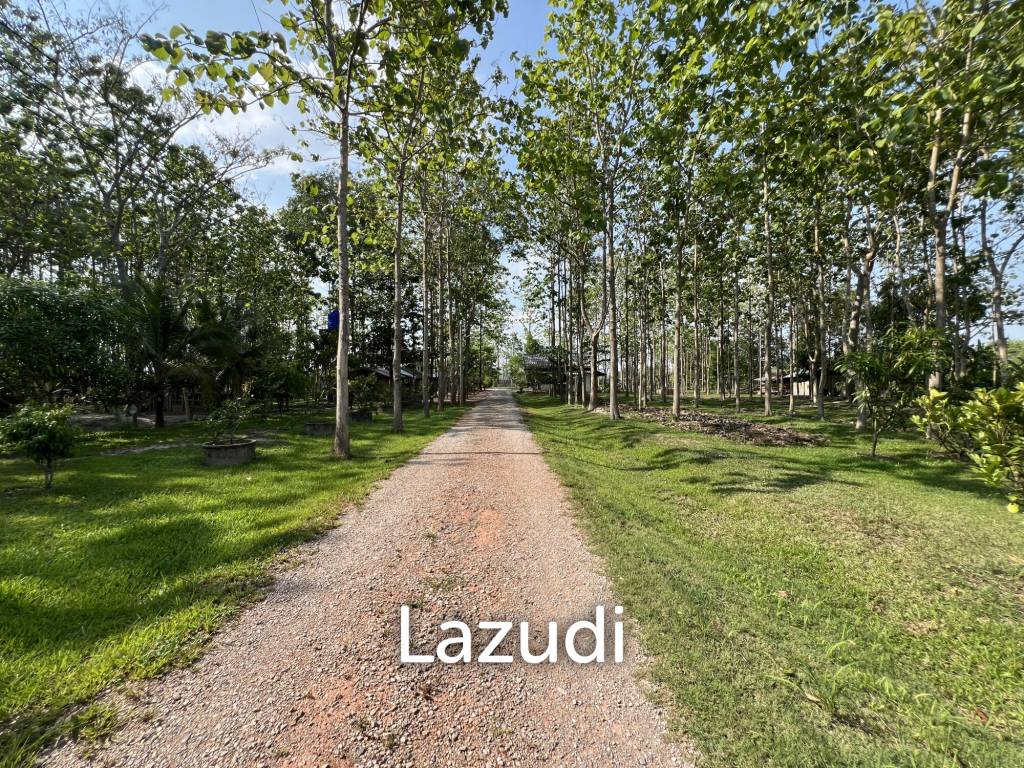 2 Bedrooms Cozy House For Sale in Stunning Garden.