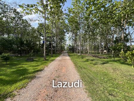 2 Bedrooms Cozy House For Sale in Stunning Garden.