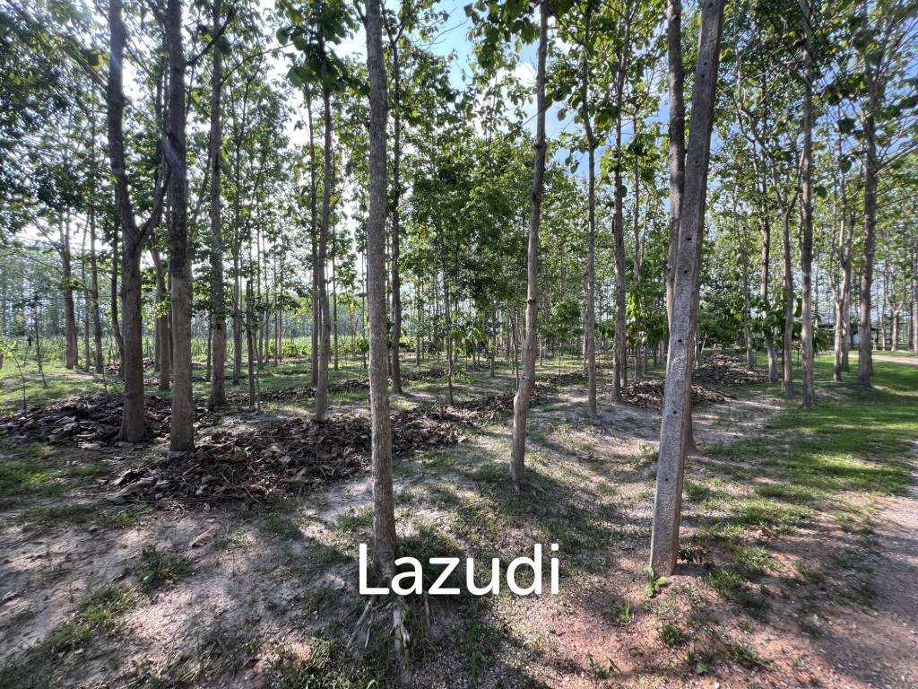 2 Bedrooms Cozy House For Sale in Stunning Garden.