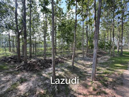 2 Bedrooms Cozy House For Sale in Stunning Garden.