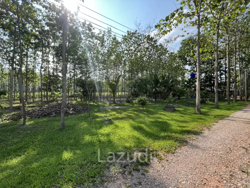 2 Bedrooms Cozy House For Sale in Stunning Garden.