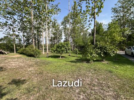 2 Bedrooms Cozy House For Sale in Stunning Garden.