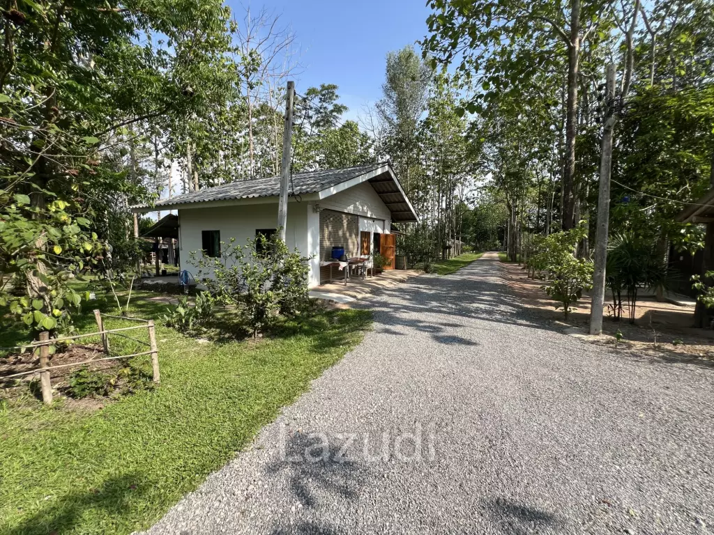 2 Bedrooms Cozy House For Sale in Stunning Garden.