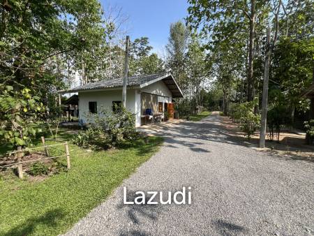 2 Bedrooms Cozy House For Sale in Stunning Garden.