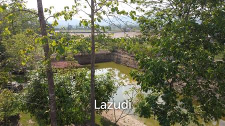2 Bedrooms Cozy House For Sale in Stunning Garden.
