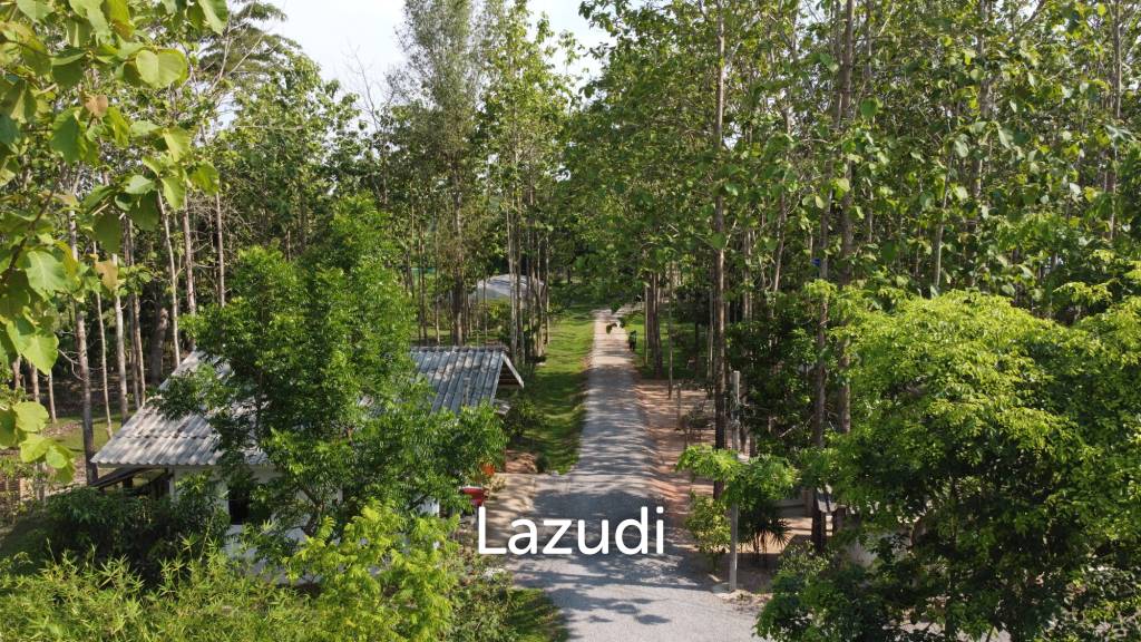2 Bedrooms Cozy House For Sale in Stunning Garden.