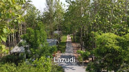 2 Bedrooms Cozy House For Sale in Stunning Garden.