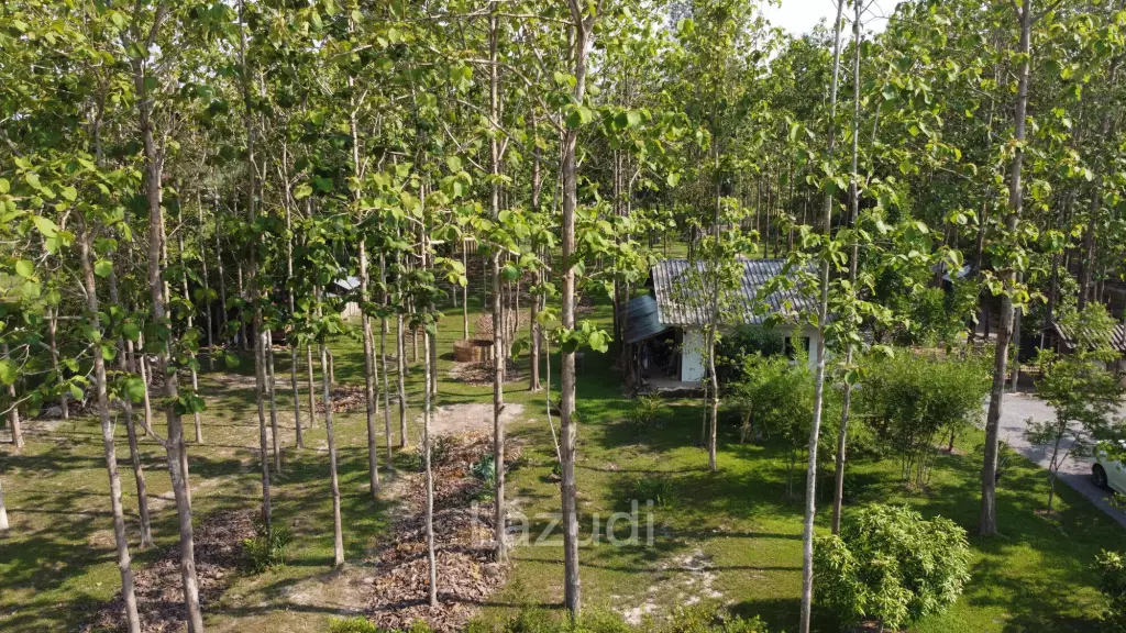 2 Bedrooms Cozy House For Sale in Stunning Garden.