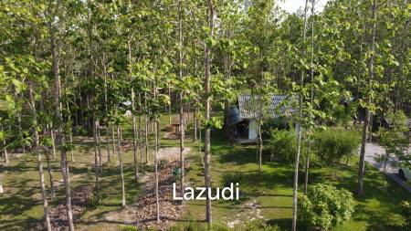 2 Bedrooms Cozy House For Sale in Stunning Garden.