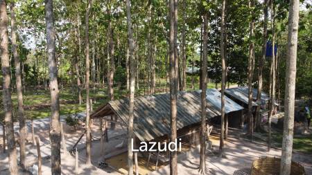 2 Bedrooms Cozy House For Sale in Stunning Garden.