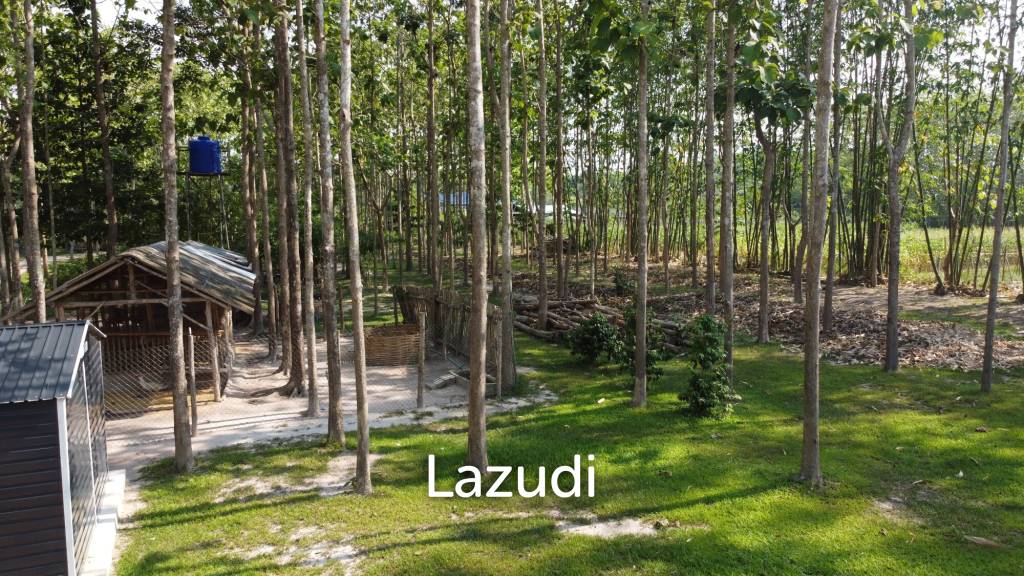 2 Bedrooms Cozy House For Sale in Stunning Garden.