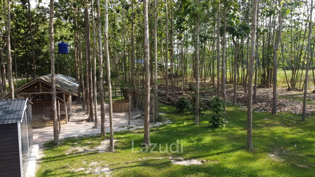 2 Bedrooms Cozy House For Sale in Stunning Garden.