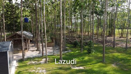 2 Bedrooms Cozy House For Sale in Stunning Garden.