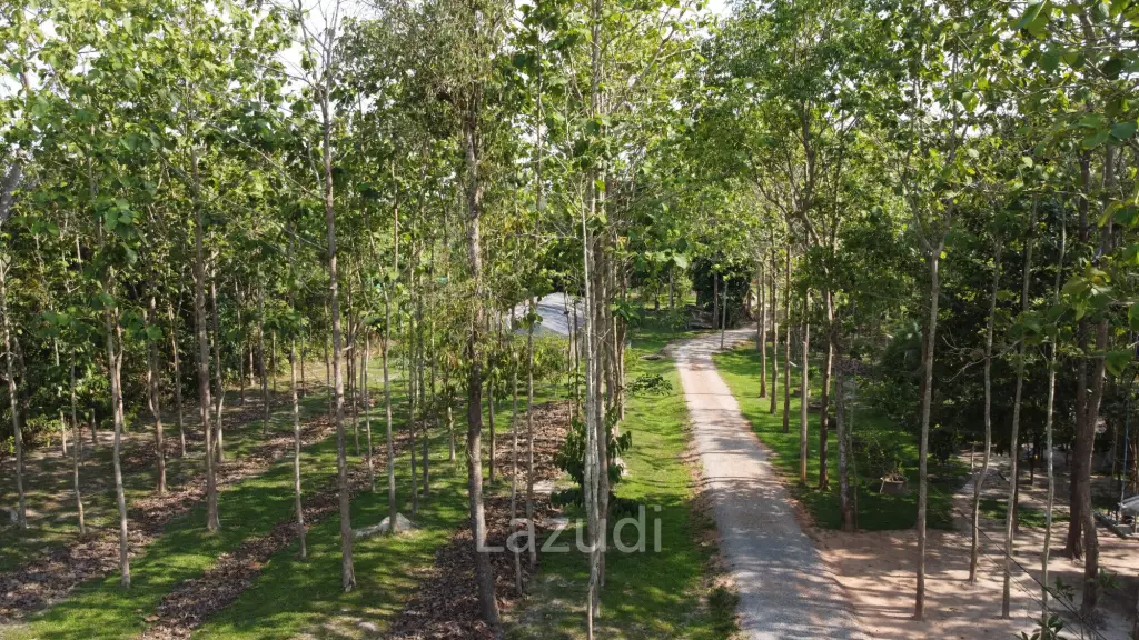 2 Bedrooms Cozy House For Sale in Stunning Garden.