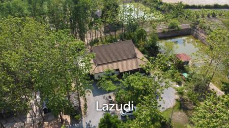 2 Bedrooms Cozy House For Sale in Stunning Garden.