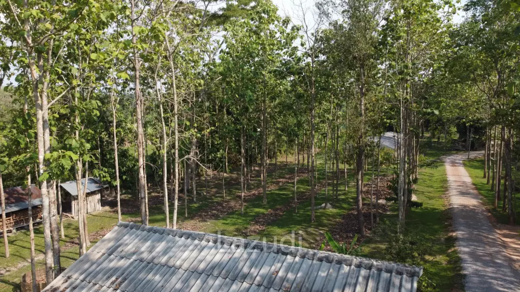 2 Bedrooms Cozy House For Sale in Stunning Garden.