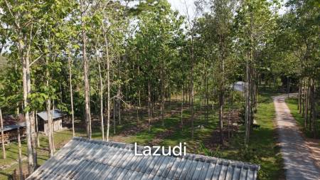 2 Bedrooms Cozy House For Sale in Stunning Garden.