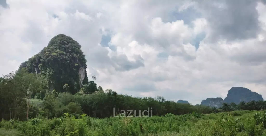 One Rai Plots in Nong Thale Krabi