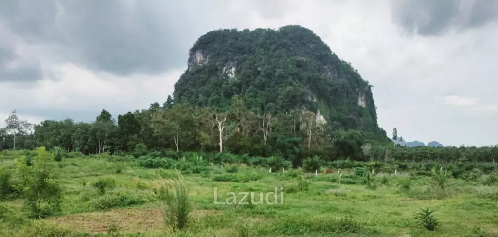 One Rai Plots in Nong Thale Krabi