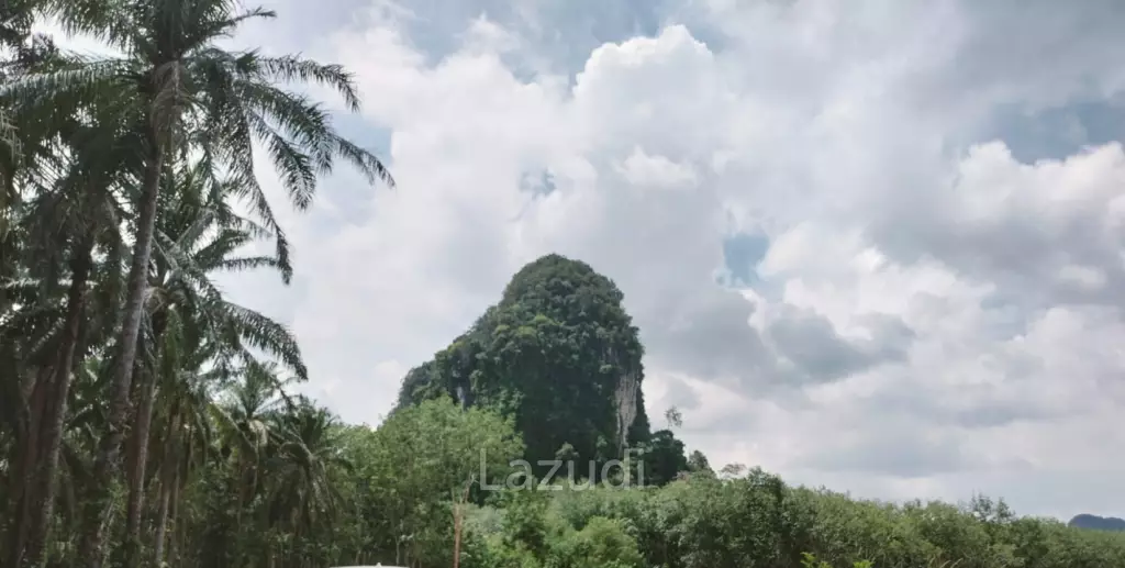One Rai Plots in Nong Thale Krabi
