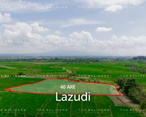 RARE INVESTMENT OPPORTUNITY IN BALI’S GREEN BELT – 40 ARE FREEHOLD LAND