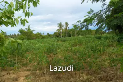 35 Rai (56,000 SQ.M.) Land in Toongklum - Talman