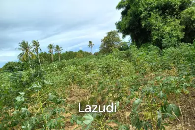 35 Rai (56,000 SQ.M.) Land in Toongklum - Talman