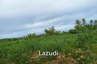 35 Rai (56,000 SQ.M.) Land in Toongklum - Talman