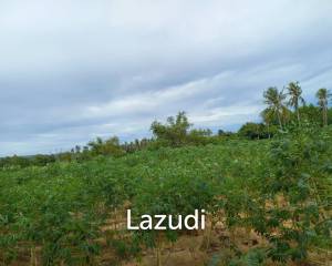35 Rai (56,000 SQ.M.) Land in Toongklum - Talman