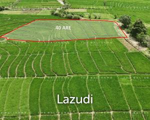 QUIET AND SCENIC LAND PLOT IN TABANAN WITH TOURISM POTENTIAL
