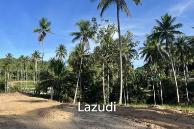 Mountain View Land 1,600 sqm for Sale in Bang Por Soi 1