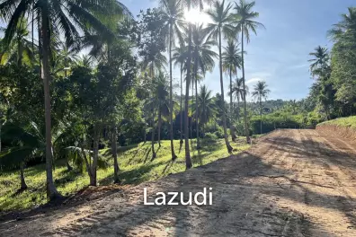 Mountain View Land 1,600 sqm for Sale in Bang Por Soi 1