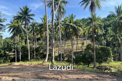 Mountain View Land 1,600 sqm for Sale in Bang Por Soi 1