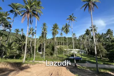 Mountain View Land 1,600 sqm for Sale in Bang Por Soi 1