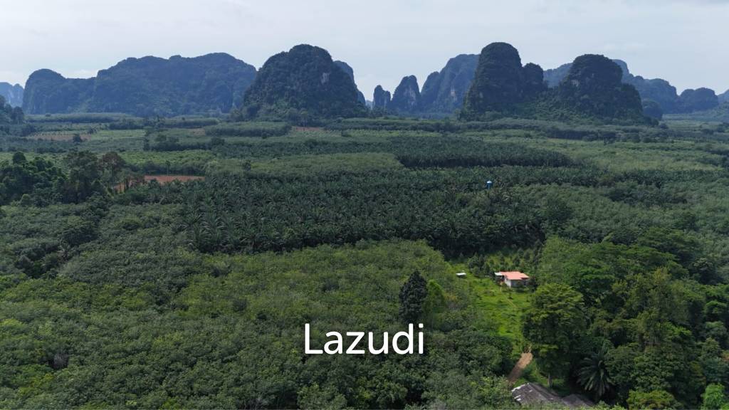 Expansive Freehold Land with Mountain Views in Krabi