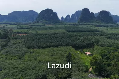 Expansive Freehold Land with Mountain Views in Krabi