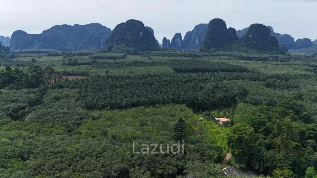 Expansive Freehold Land with Mountain Views in Krabi