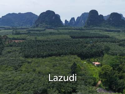 Expansive Freehold Land with Mountain Views in Krabi