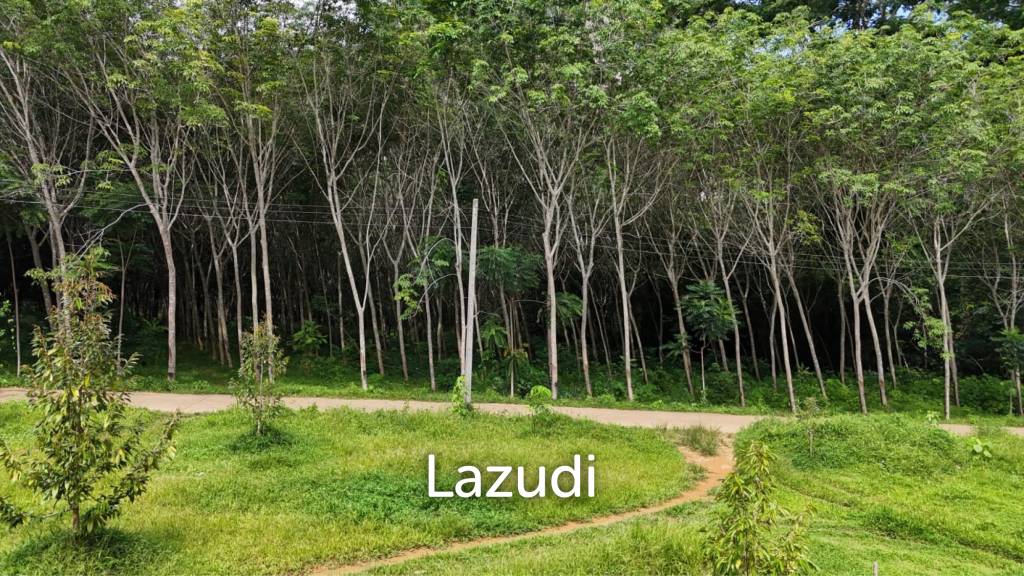 Expansive Freehold Land with Mountain Views in Krabi