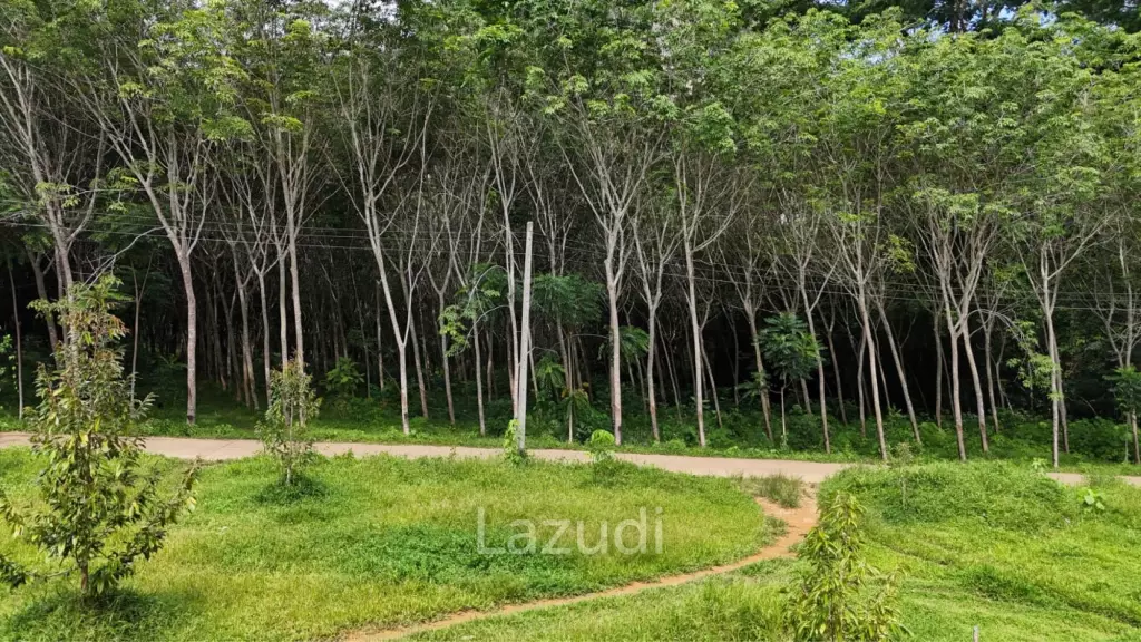 Expansive Freehold Land with Mountain Views in Krabi