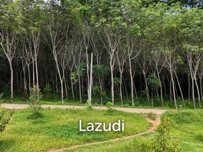 Expansive Freehold Land with Mountain Views in Krabi