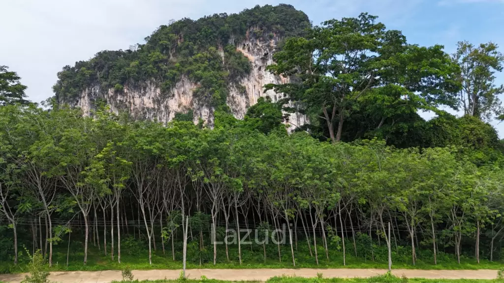 Expansive Freehold Land with Mountain Views in Krabi