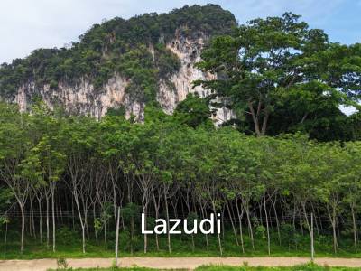 Expansive Freehold Land with Mountain Views in Krabi