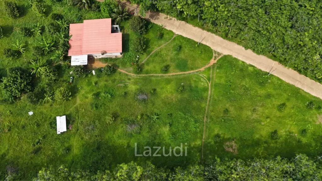 Expansive Freehold Land with Mountain Views in Krabi