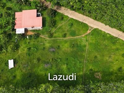 Expansive Freehold Land with Mountain Views in Krabi