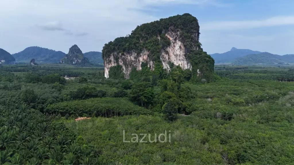 Expansive Freehold Land with Mountain Views in Krabi