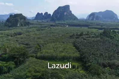 Expansive Freehold Land with Mountain Views in Krabi