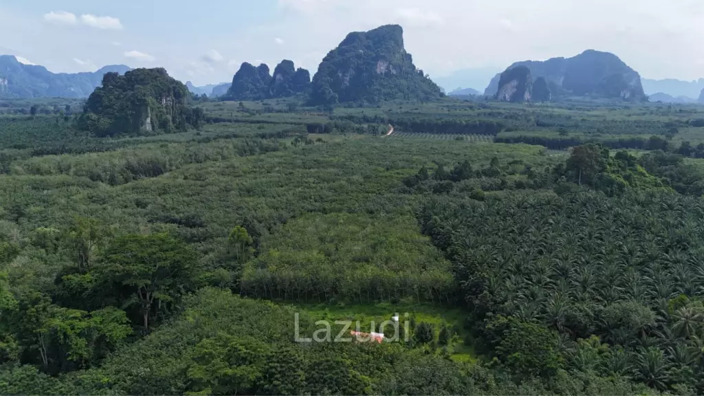 Expansive Freehold Land with Mountain Views in Krabi