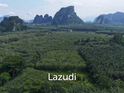 Expansive Freehold Land with Mountain Views in Krabi